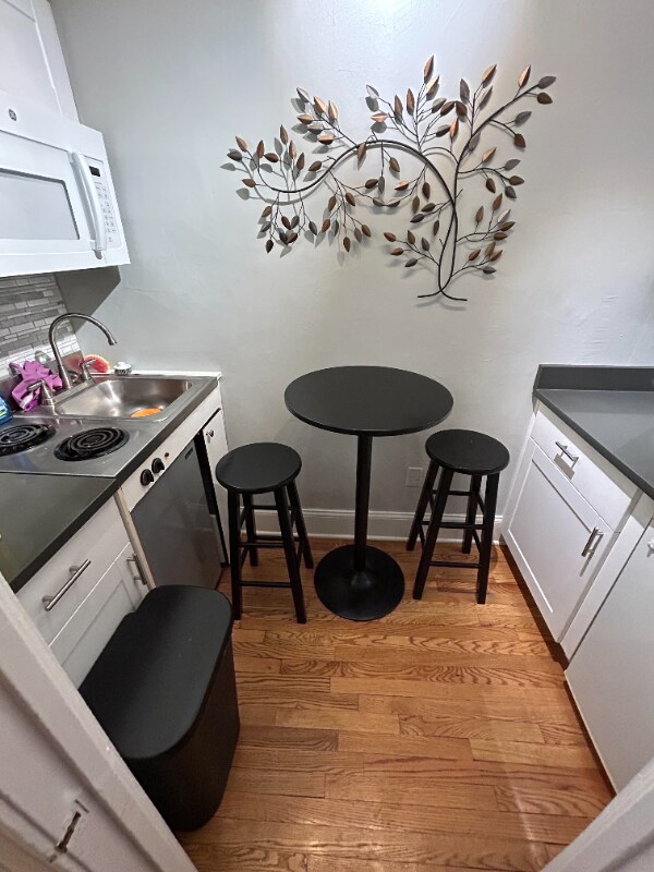 666 Central Ave unit Small Studio, Highland Park, IL 60035 - photo 4