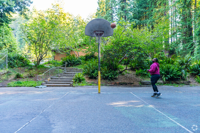 The basketball court at Redwood Park is surrounded by lush plants and trees.