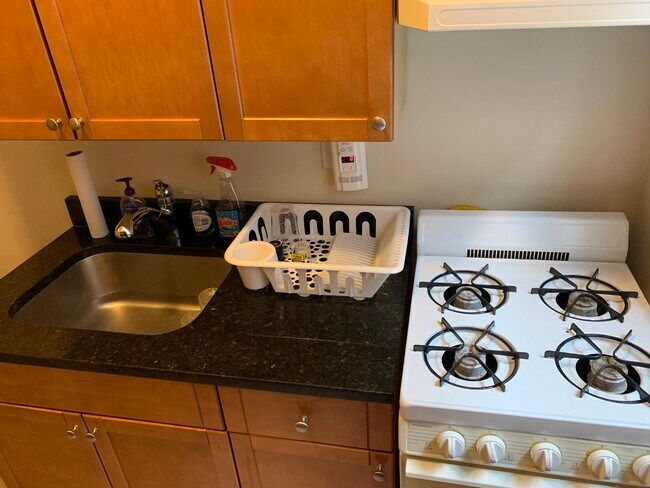 28 Symphony Rd unit 200, Boston, MA 02115 - photo 3