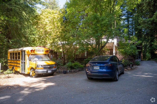 Tara Redwood School is nestled in a redwood forest.