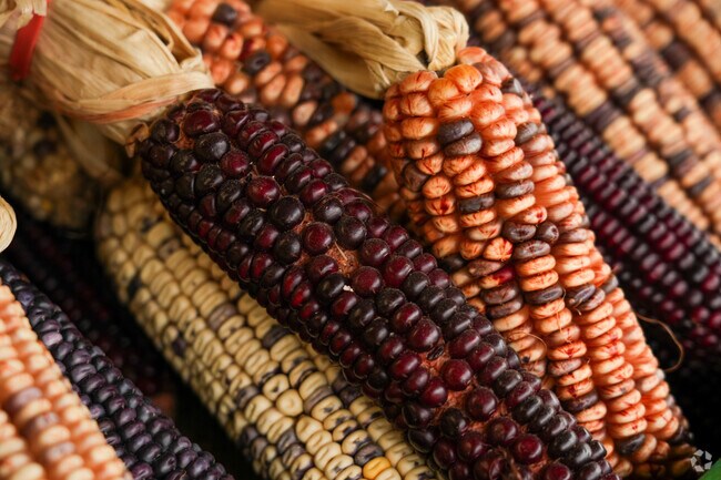 Doris Berry Farmers Market in Pearl offers unique Mississippi-grown produce.