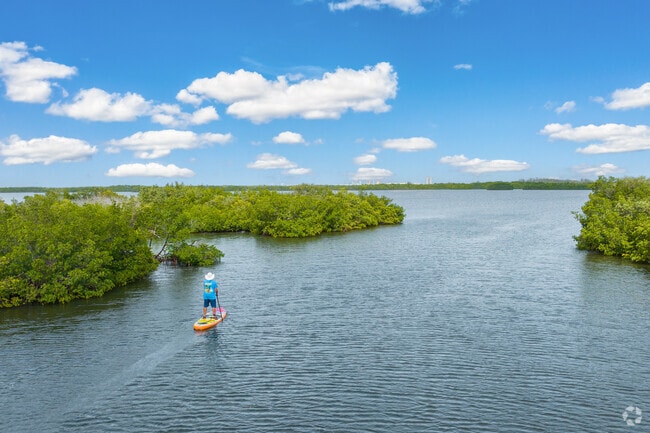 Rubonia residents enjoy paddleboarding in Terra Ceia Preserve.