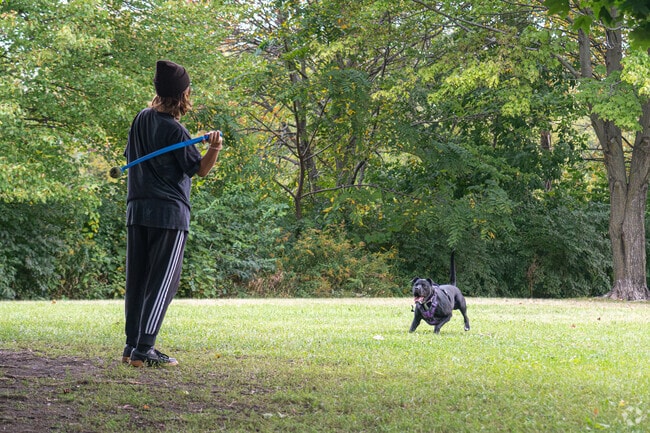 A Pigeon Hill resident plays fetch with their dog at Aurora's Gregory Island Dog Park.