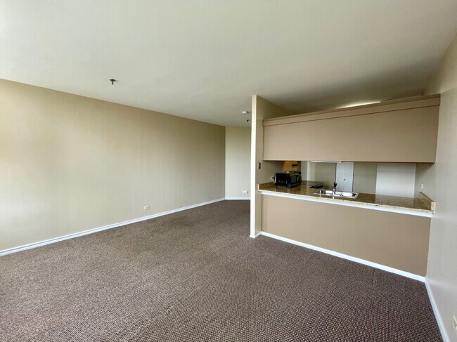 40 E Cedar St unit 15E, Chicago, IL 60611 - photo 3