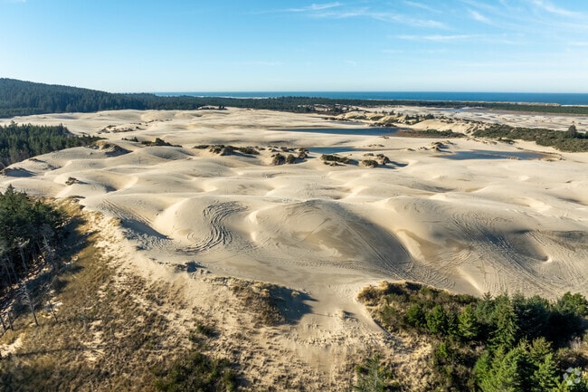 Oregon Dunes National Recreation Area is a popular spot near Reedsport for outdoor activities.