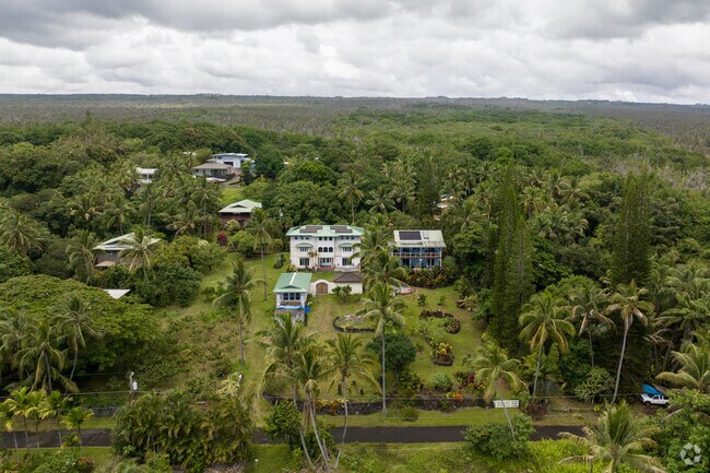 Homes in tropical forest