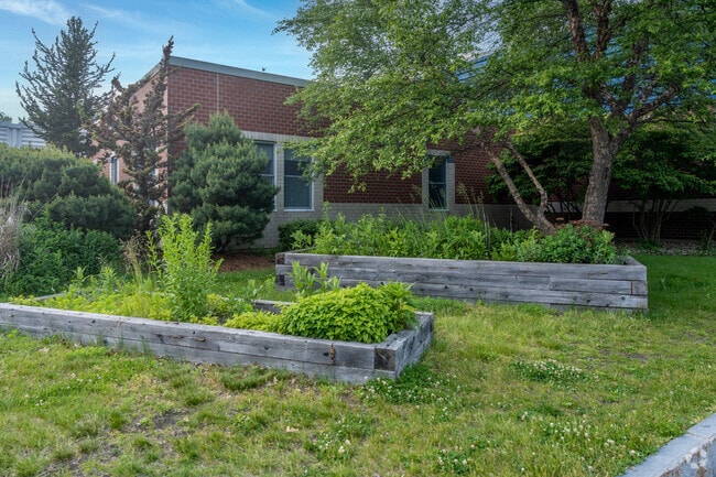 A small school garden on the side of the Dora L. Small School.