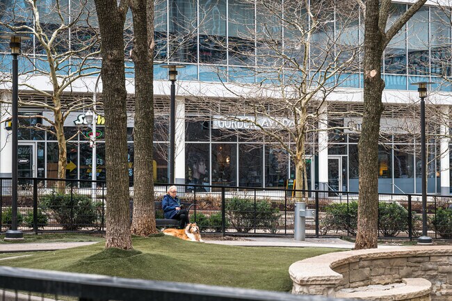 The dog park at Lakeshore East Park is fun for the pooches in the New East Side neighborhood.