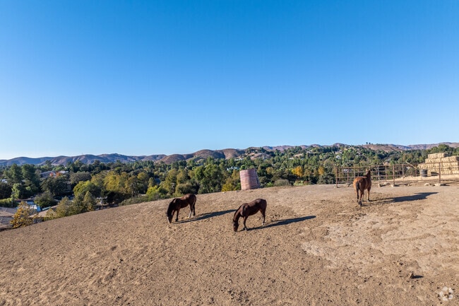 Horses can be found throughout the Thousand Oaks area on horse ranches.