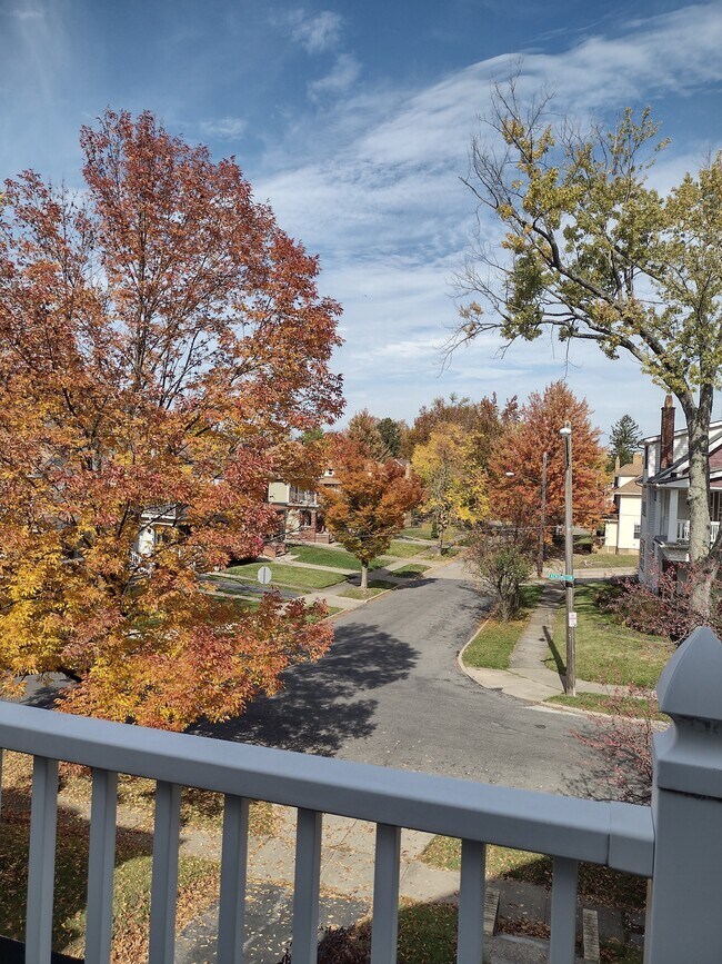 Porch View