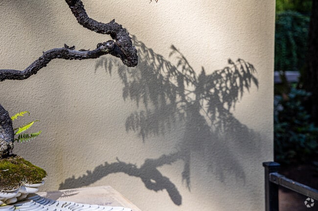 The Pacific Bonsai Museum has some amazing examples of this Japanese art form to enjoy.
