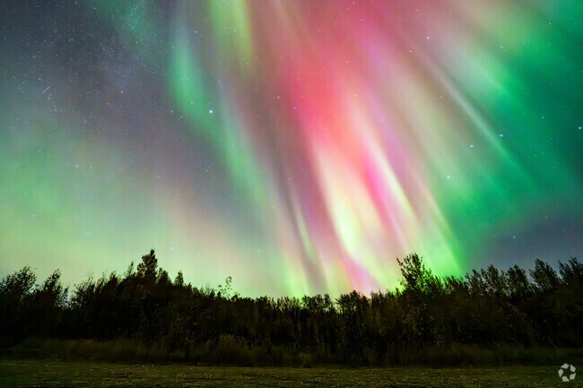 Away from city lights, Two Rivers is perfect for viewing the Northern Lights.