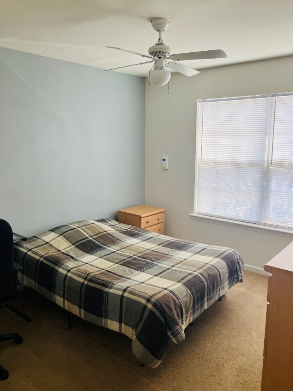 118 University Village Dr, Central, SC 29630 - photo 7