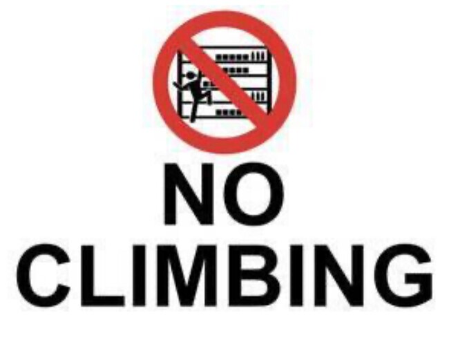 5128 E Seneca Ave unit B, Tampa, FL 33617 - photo 2