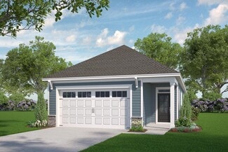 196 Village Walk St Unit 36487630, Clayton, NC 27527