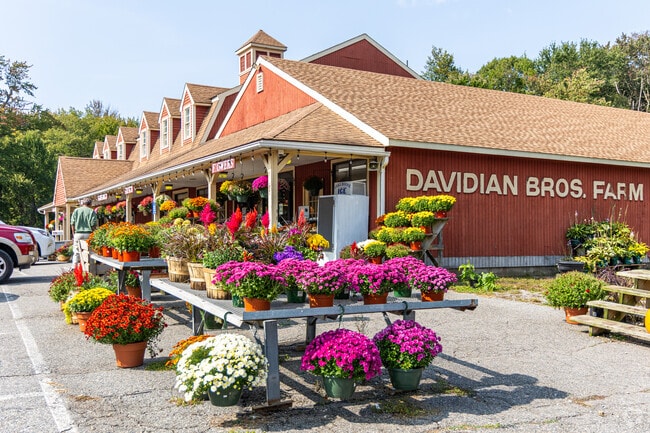 Davidian’s Farm Market is a local favorite for fresh fruit, veggies, and more in Boylston Center