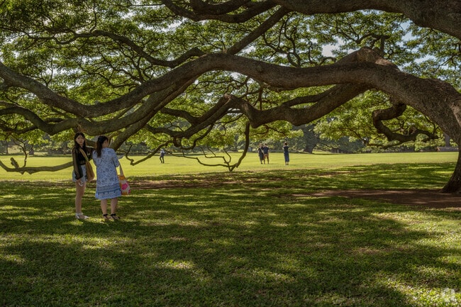 The valley's beauty has inspired artists and photographers for years.