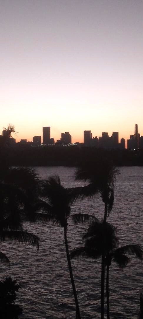 View from Balcony