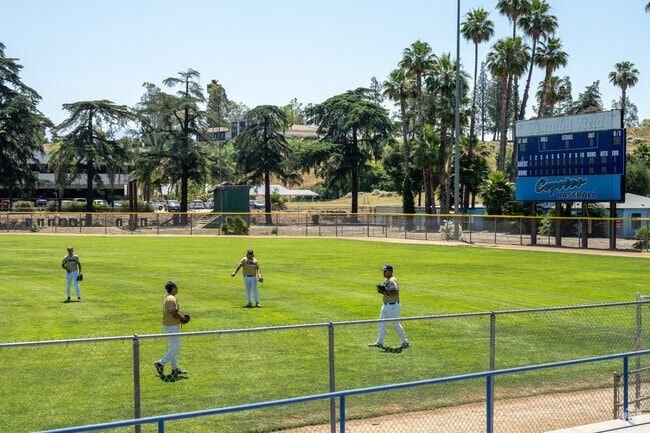Find baseball leagues for everyone at Perris Hill Park near Northeast Sterling.