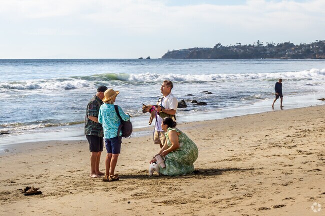 Thalia Street Beach, nestled near The Village, offers a stunning mix of rocky outcrops and sandy stretches, with tide pools to explore and mellow waves perfect for surfing.
