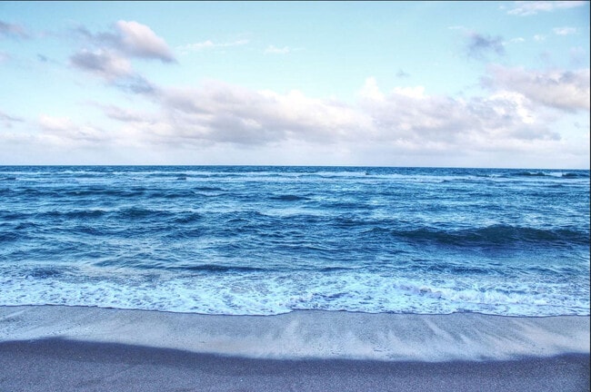 324 Van Buren St unit FL1-ID1358004P, Hollywood, FL 33019 - photo 4