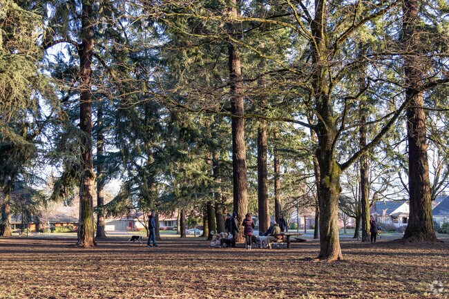 Beaumont-Wilshire's residents and their dogs enjoy afternoons at Wilshire Park.