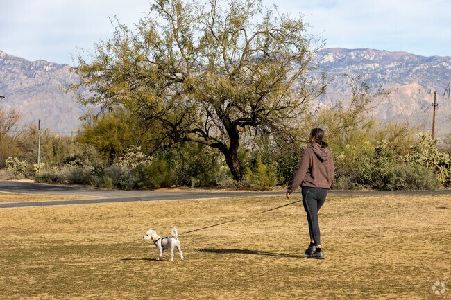 Case Natural Resource Park has open spaces for dog walking near Harrison East South.