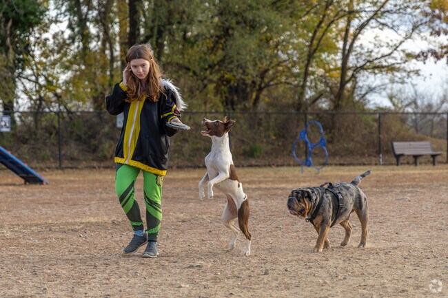 Your furry friends can go for a run in Elderberry Pond at Falls Township Dog Park.
