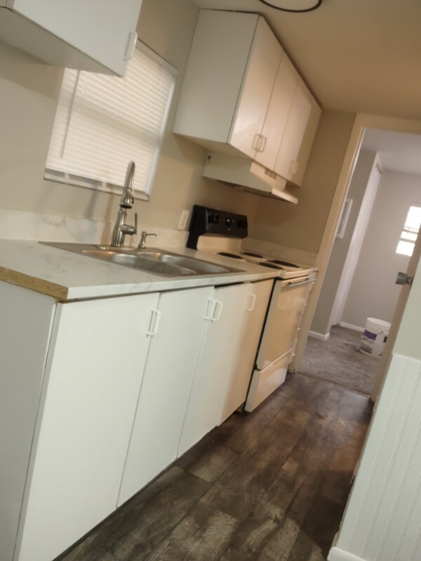 15101 N 15th St, Lutz, FL 33549 - photo 1