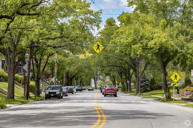 Wide tree lined streets are abundant in North Avondale.