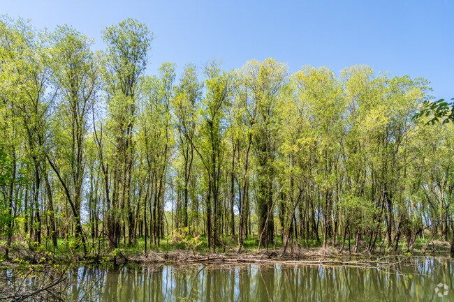 Peoria County Park is lined with tall trees in Peoria, Oregon.