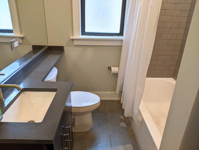 1143 Maple Ave unit 2, Evanston, IL 60202 - photo 6