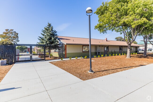 Athletes take to the field during a sports practice at American Canyon Middle School.