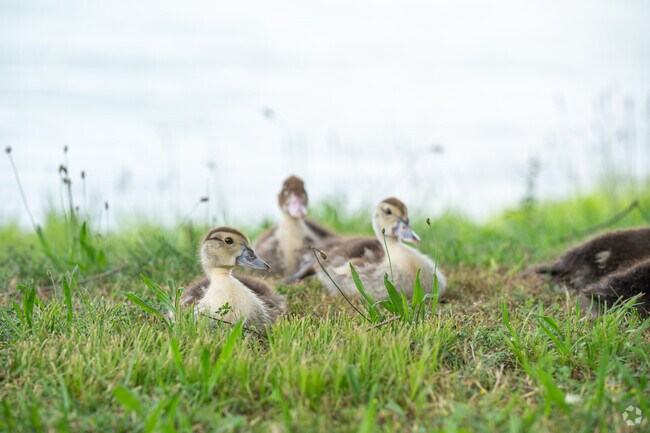 Killough Springs is near Eastlake Park.