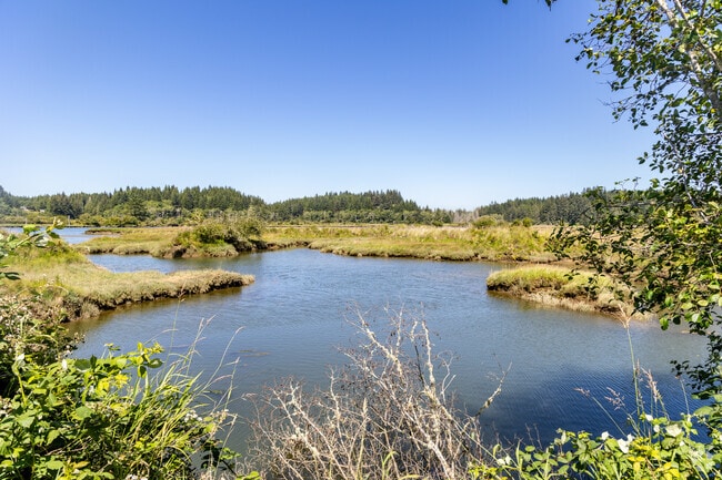 Ocosta folks enjoy the scenery of Johns River Dike Trail.