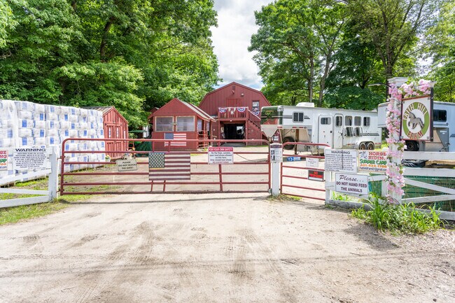 Embark on an exciting journey of horse riding lessons at Faith Hill Farm in Shippeetown, RI!