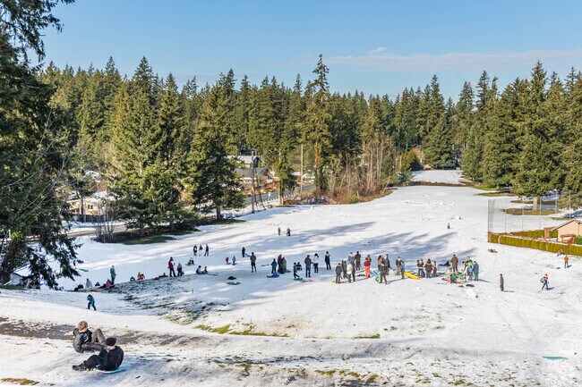 Lake Wilderness Golf Course near Ravensdale turns into an impromptu ski hill when it snows.