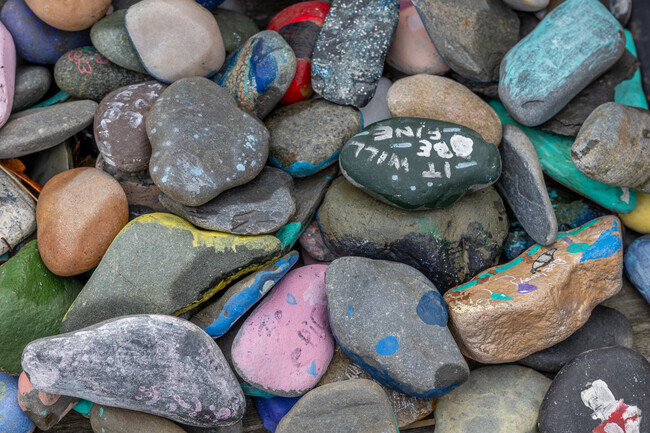 Colorful painted rocks line the grounds of Abigail Adams Middle School in Weymouth.