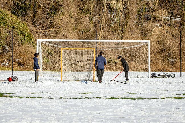 Don't let the snow stop you from heading out to Francis M. Gaynor Park.
