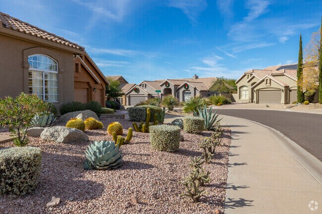 Cactus thrive in the arid climate of Troon North.