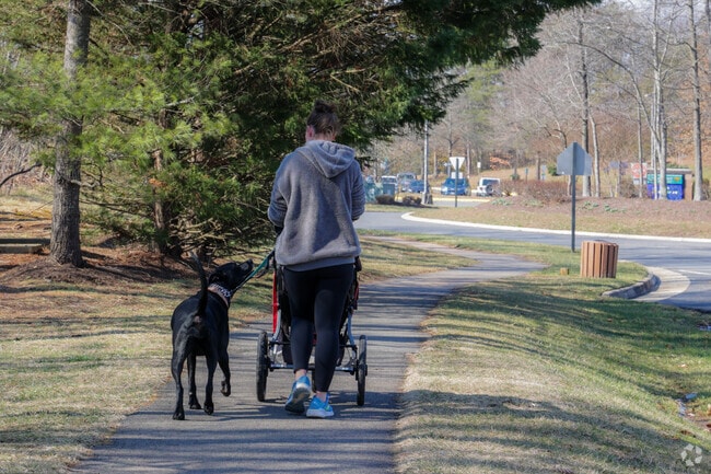 Kingsbrooke’s shaded streets make it a pet-friendly neighborhood for dog walking.