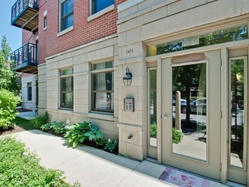 1451 S Halsted St, Chicago, IL 60607 - photo 1