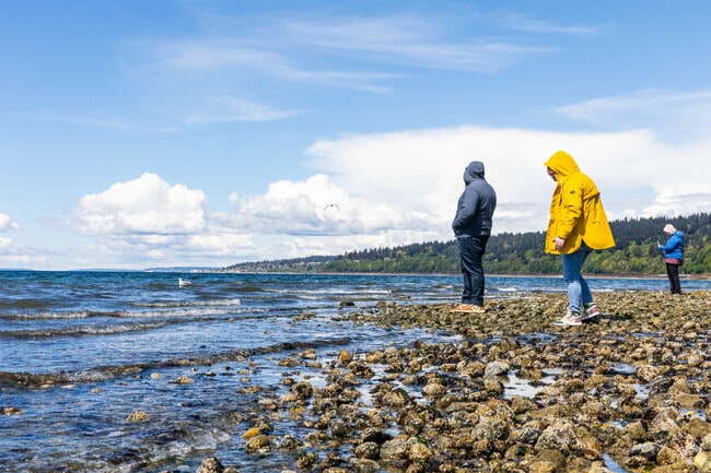 Visitors scan the shores for seashore treasures at Carkeeke Park.