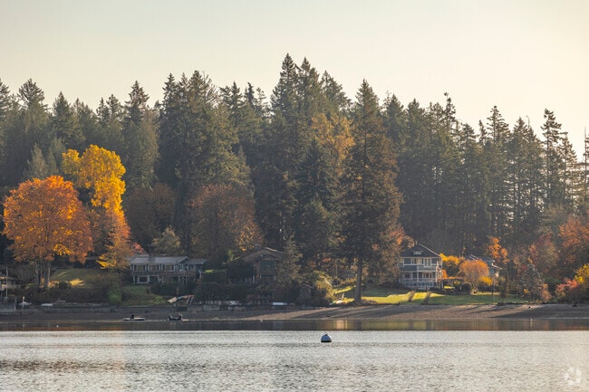 Beach bungalows and cabins line the coastline of Lakebay.