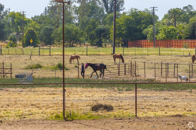 North East Elk Grove Has places where you can learn to ride keep your horse nearby.