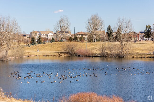 Residents living in Green Valley Ranch can enjoy gatherings and events at Town Center Park.