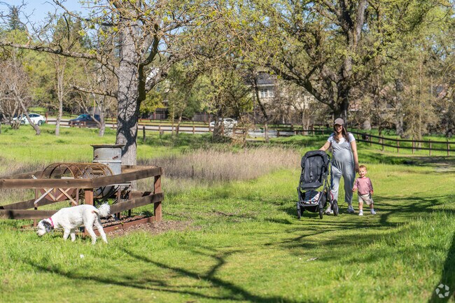Sugar Loaf Open Space Preserve has multiple trails with many trees and open fields.