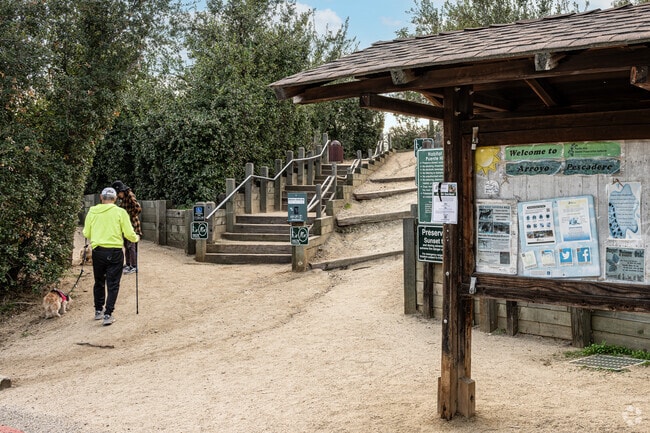 Locals like to walk their dogs at the Arroyo Pescadero Trailhead in Mar Vista Heights.