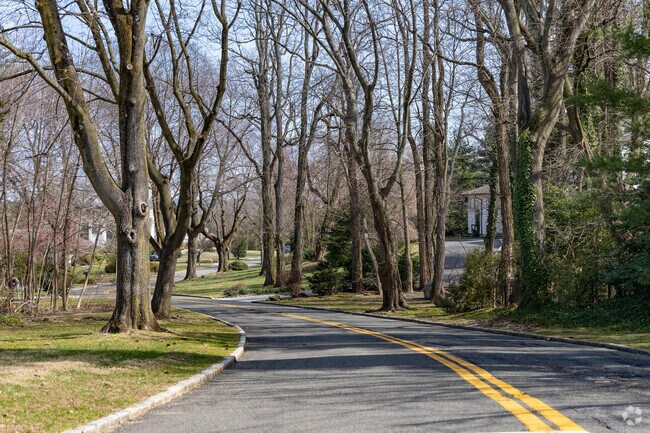 Most streets in Kings Point do not have sidewalks or street lamps so a car is needed.