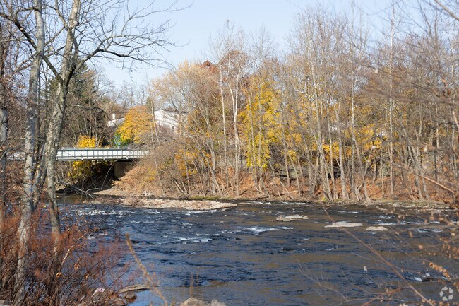 Beautiful nature awaits you just outside your window at Old Forge, PA.